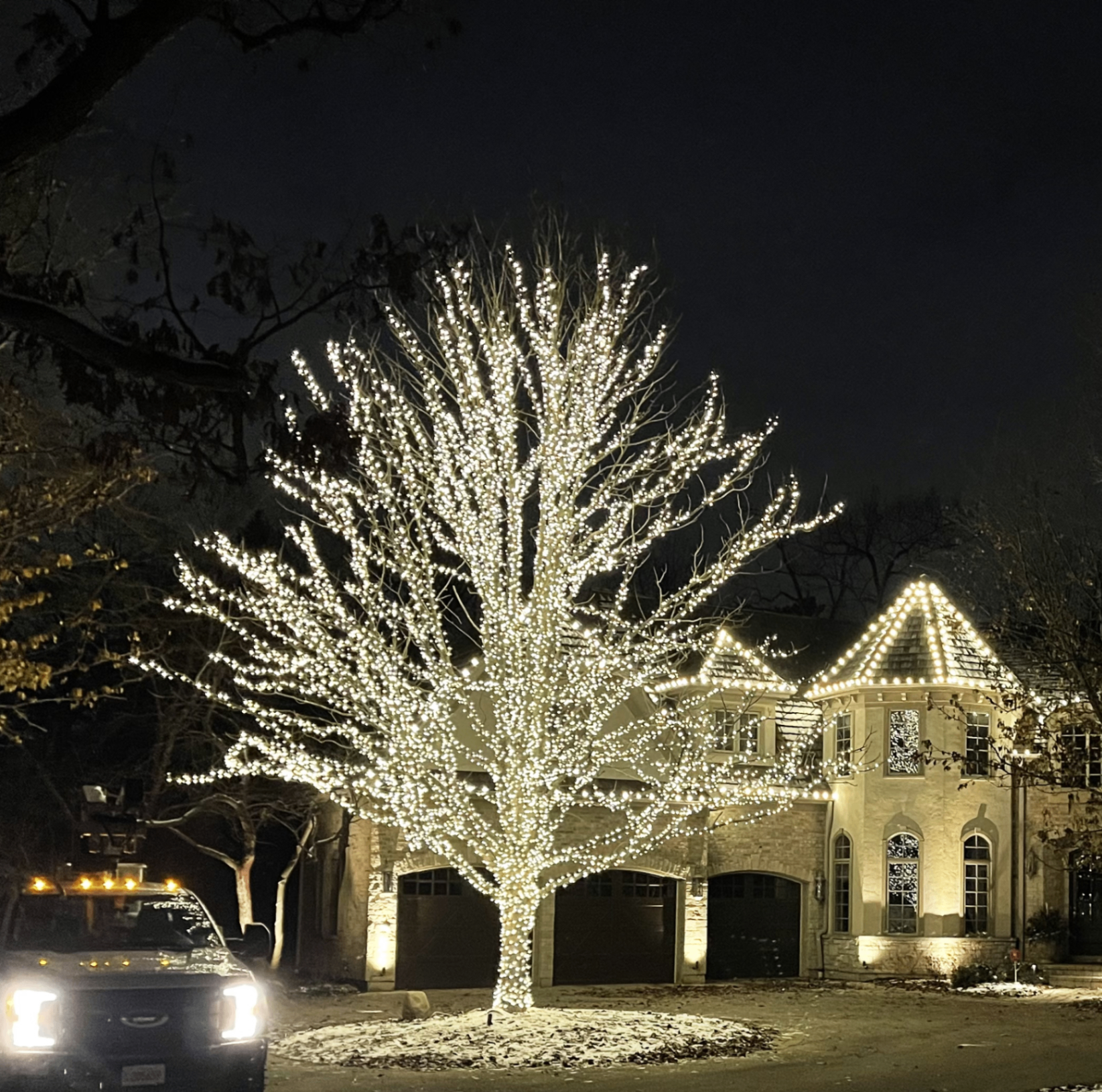 Frosty's Holiday Lighting